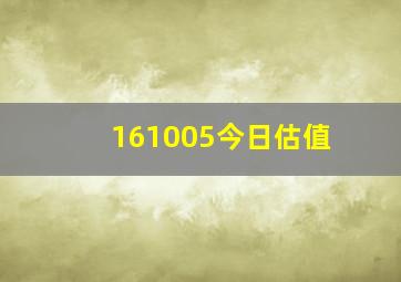 161005今日估值