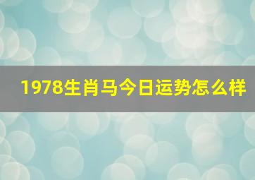 1978生肖马今日运势怎么样