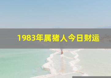 1983年属猪人今日财运