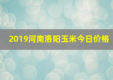 2019河南洛阳玉米今日价格