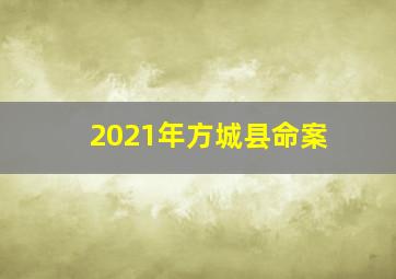 2021年方城县命案