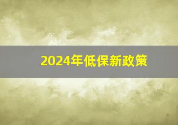 2024年低保新政策