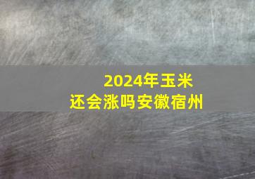 2024年玉米还会涨吗安徽宿州