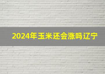 2024年玉米还会涨吗辽宁