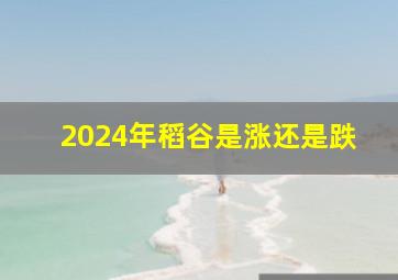 2024年稻谷是涨还是跌