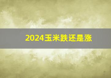 2024玉米跌还是涨