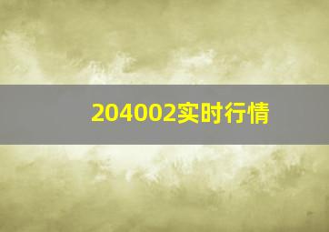 204002实时行情