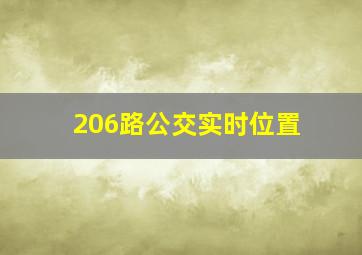 206路公交实时位置