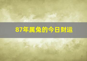 87年属兔的今日财运