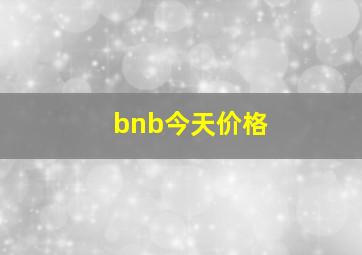 bnb今天价格