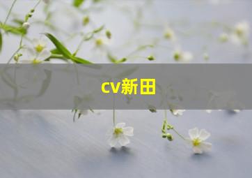 cv新田