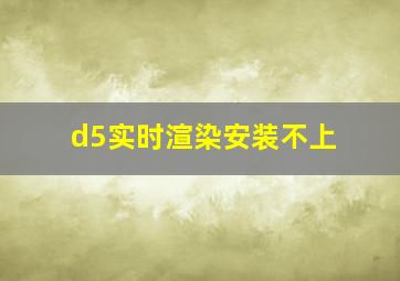 d5实时渲染安装不上