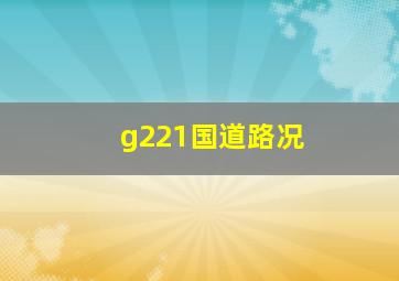 g221国道路况