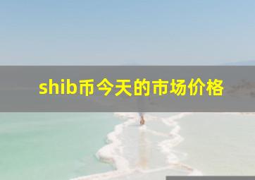 shib币今天的市场价格