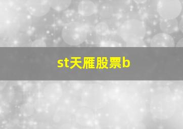 st天雁股票b