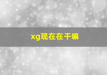 xg现在在干嘛