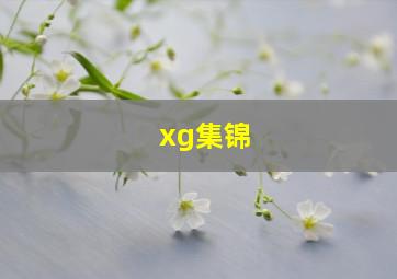 xg集锦