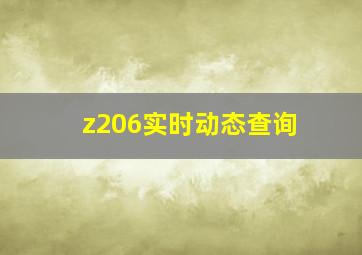 z206实时动态查询