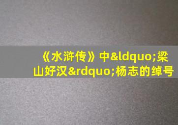 《水浒传》中“梁山好汉”杨志的绰号