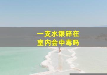 一支水银碎在室内会中毒吗