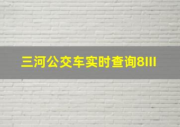 三河公交车实时查询8III