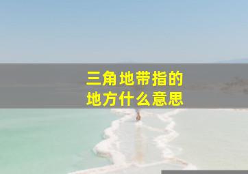 三角地带指的地方什么意思