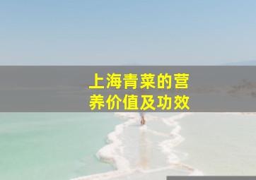 上海青菜的营养价值及功效