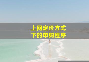 上网定价方式下的申购程序