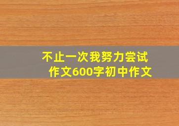 不止一次我努力尝试作文600字初中作文