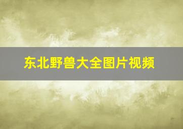 东北野兽大全图片视频