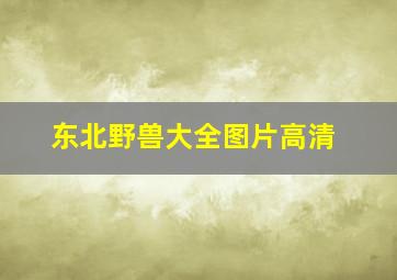 东北野兽大全图片高清