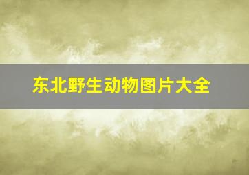 东北野生动物图片大全