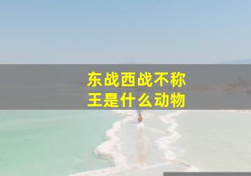 东战西战不称王是什么动物