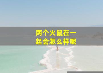 两个火鼠在一起会怎么样呢