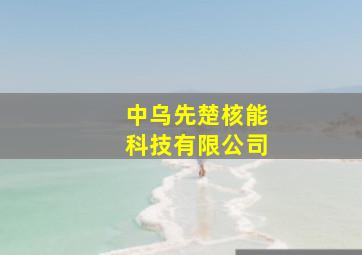 中乌先楚核能科技有限公司