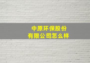 中原环保股份有限公司怎么样