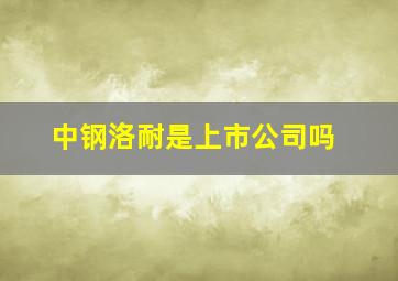 中钢洛耐是上市公司吗