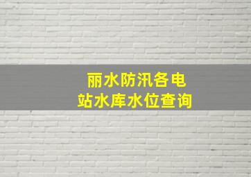 丽水防汛各电站水库水位查询