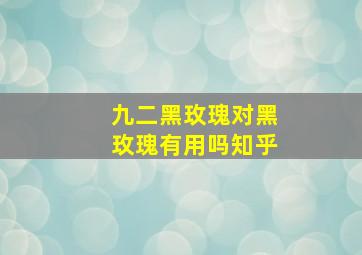 九二黑玫瑰对黑玫瑰有用吗知乎