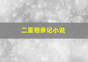 二蛋相亲记小说