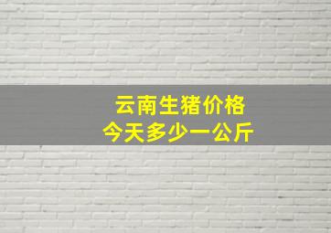 云南生猪价格今天多少一公斤