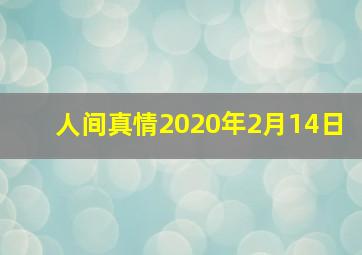 人间真情2020年2月14日