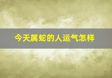 今天属蛇的人运气怎样