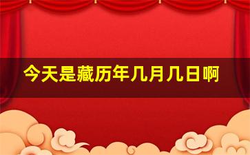 今天是藏历年几月几日啊