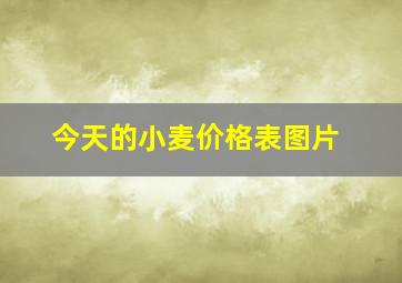 今天的小麦价格表图片