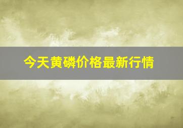 今天黄磷价格最新行情