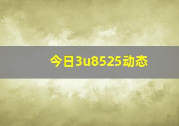 今日3u8525动态