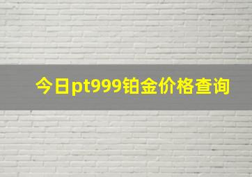 今日pt999铂金价格查询