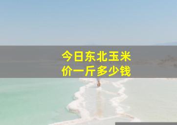 今日东北玉米价一斤多少钱