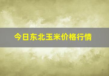 今日东北玉米价格行情